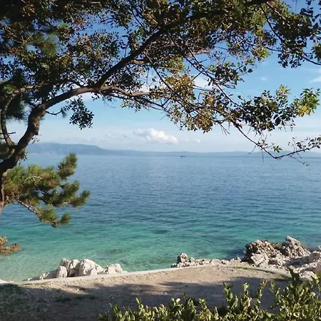 Reisman 1010 Rabac